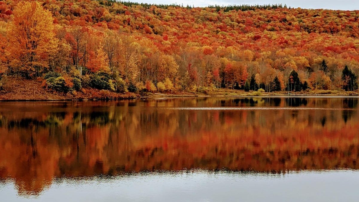 Tranquil autumn landscape with vibrant foliage reflecting in Davis Lake, West Virginia.