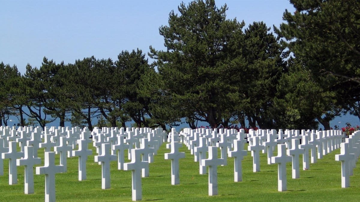 Rows of white crosses in a military cemetery, symbolizing remembrance and honor.