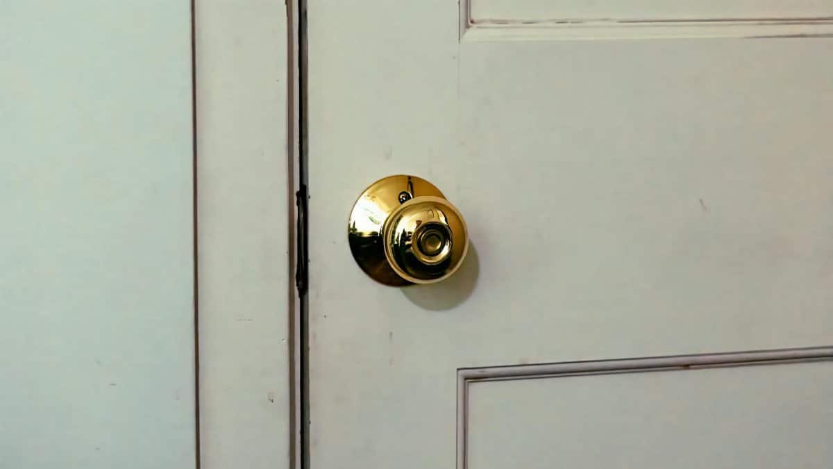 White door featuring a shiny brass knob, ideal for home interior design themes.