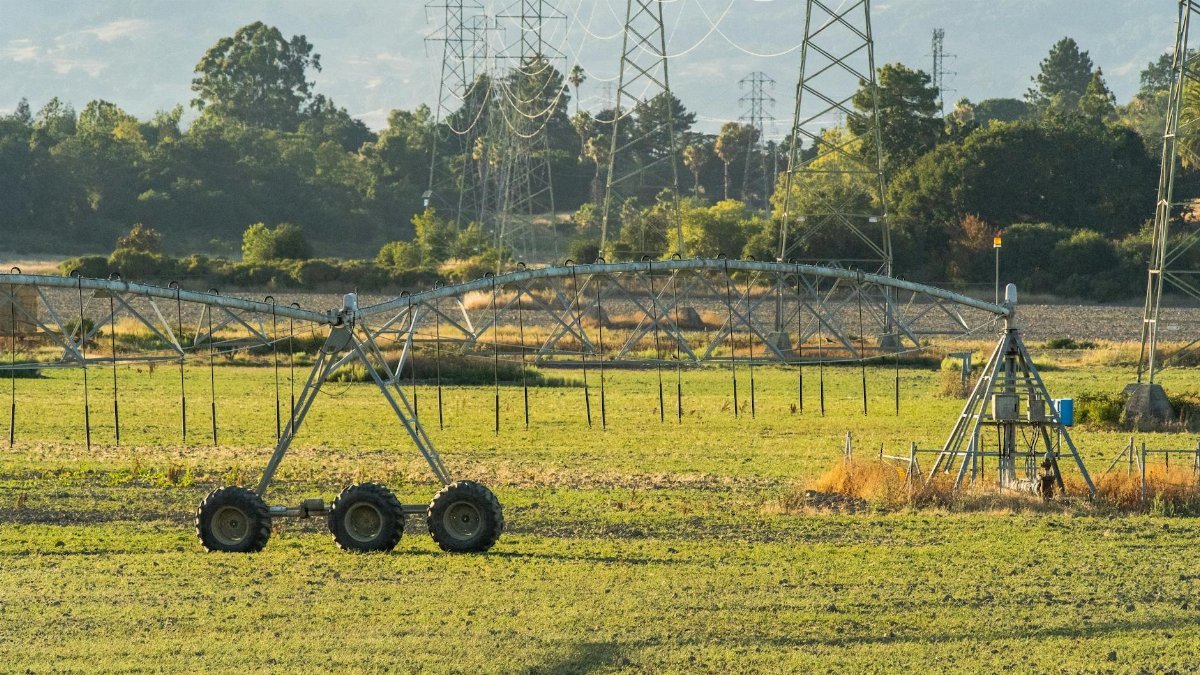 A sunny field with an irrigation system and power lines in the background. Ideal for agricultural themes.