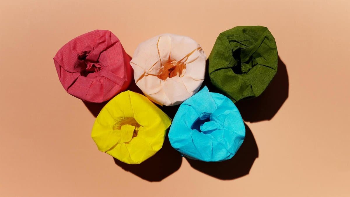 Brightly colored toilet paper rolls arranged in a creative still life setup.