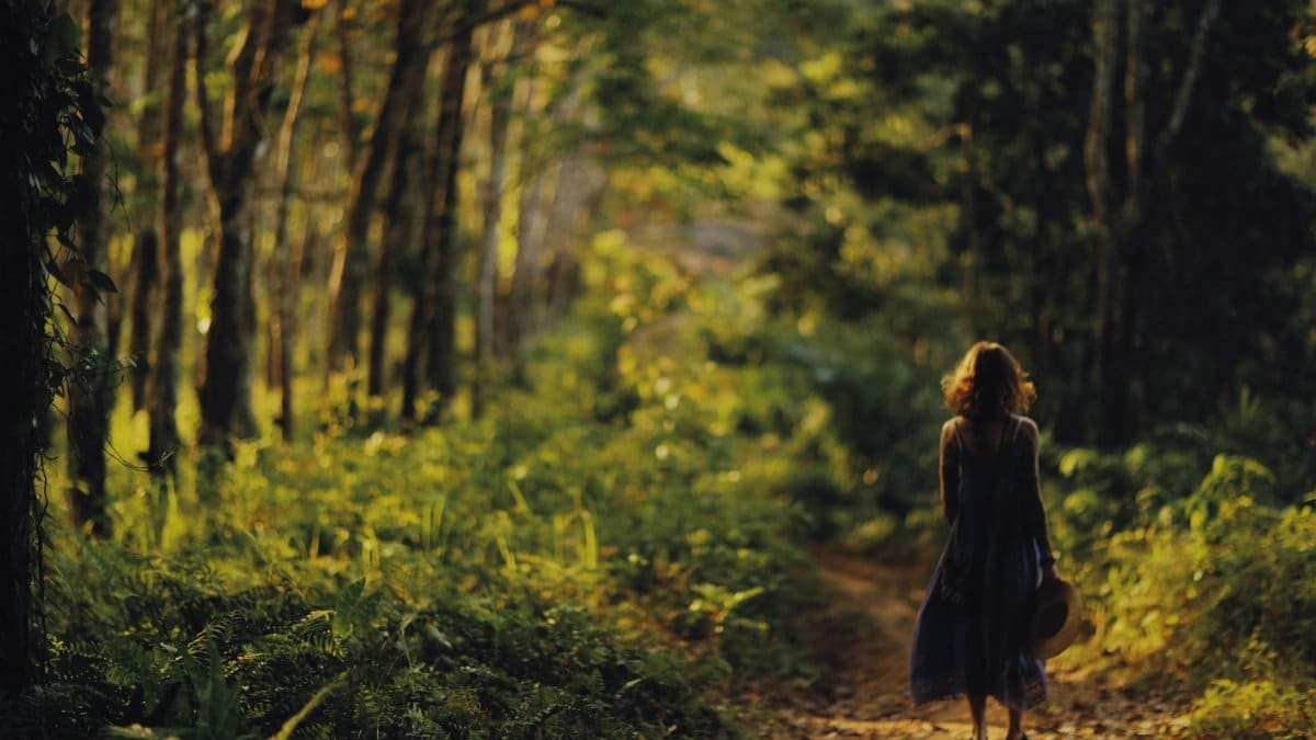 Back view of a woman walking on a forest pathway surrounded by lush trees.