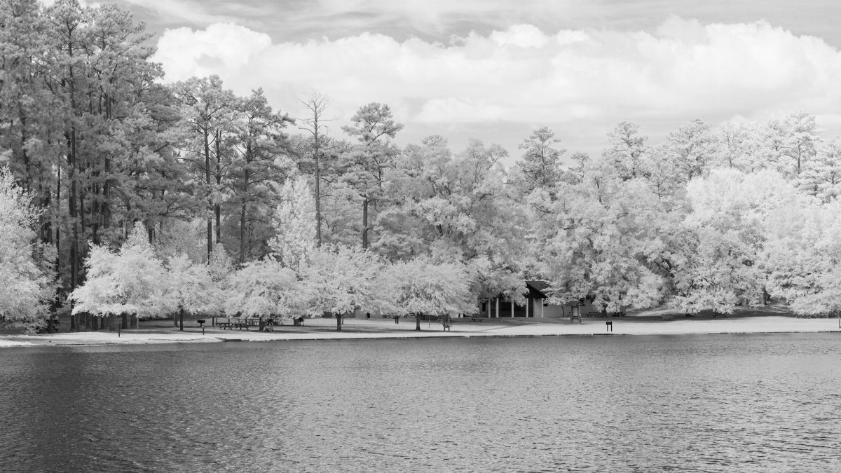 Infrared black and white image of a tranquil lake with oak trees at Sesqui State Park, South Carolina.