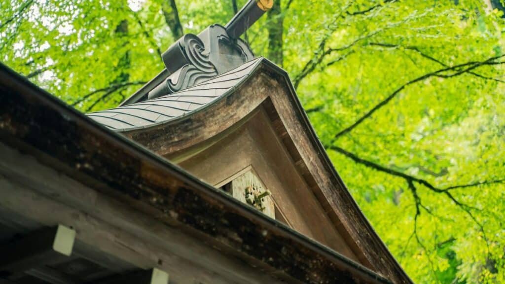 Low angle view of traditional Japanese architecture surrounded by lush green forest.