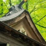 Low angle view of traditional Japanese architecture surrounded by lush green forest.