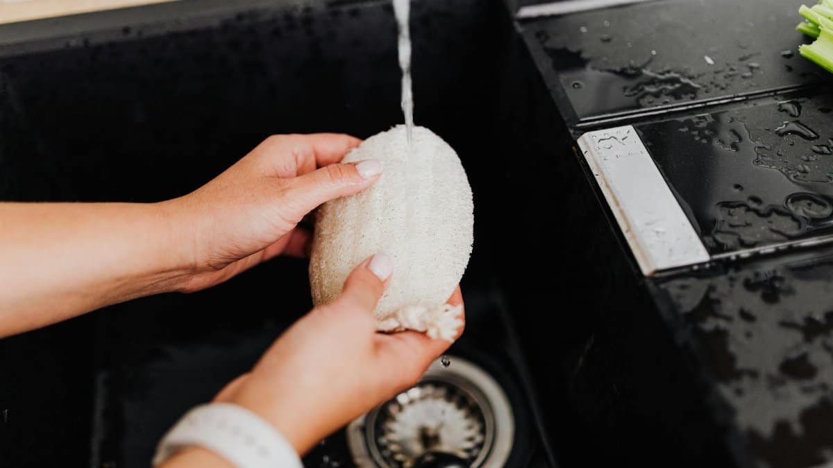 Close-up of hands cleaning a sponge under tap water in a black sink, emphasizing hygiene and kitchen cleanliness.