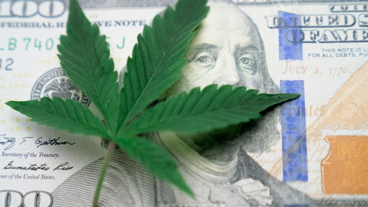 Close-up of a cannabis leaf resting on a one hundred dollar US bill, representing the intersection of marijuana and economy.