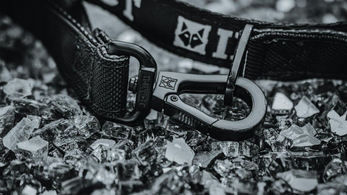 Close-up of a durable Impact dog leash resting on shattered glass for a rugged look.