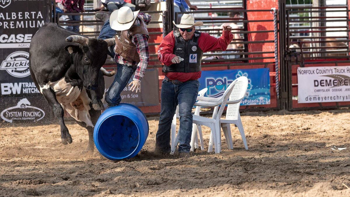 Dramatic moment of a bull charging a cowboy during a lively rodeo event.