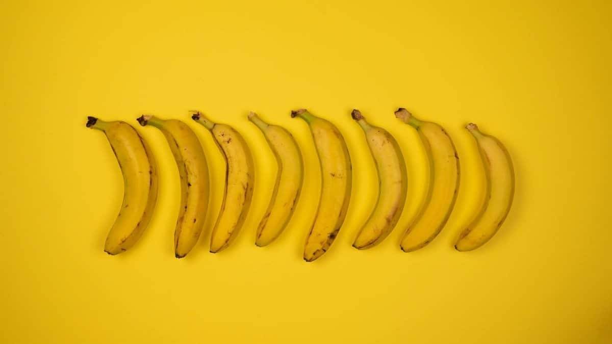 Top view of tasty ripe bananas with blots on peel composed in row on yellow background