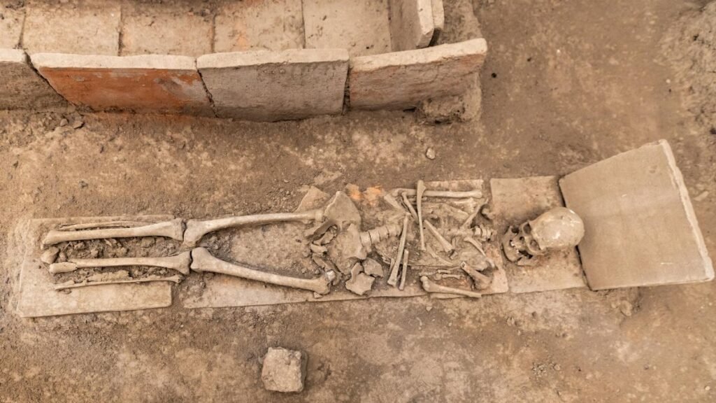 Unearthed ancient Roman skeleton at Viminacium, Serbia archaeological site.