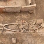Unearthed ancient Roman skeleton at Viminacium, Serbia archaeological site.