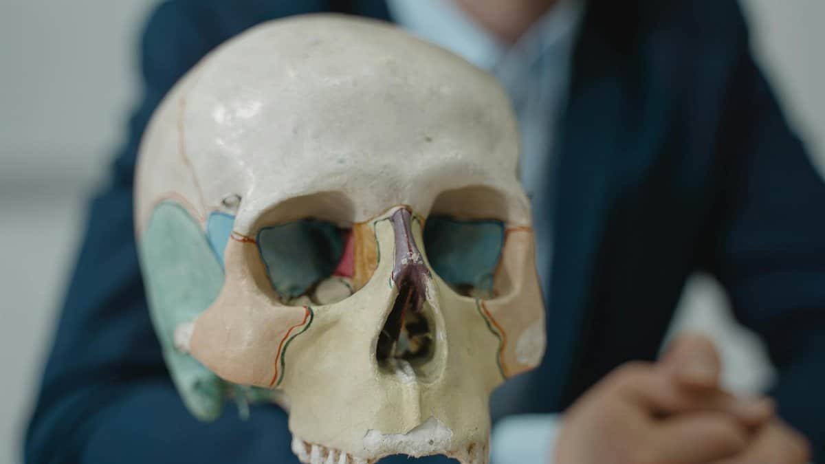 Close-up of a colorful anatomical skull model in a classroom setting, ideal for educational purposes.