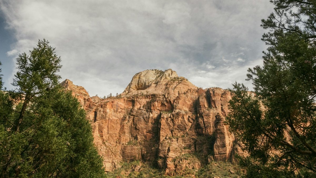 Stunning view of the red rock cliffs at Zion National Park, Utah, surrounded by greenery.