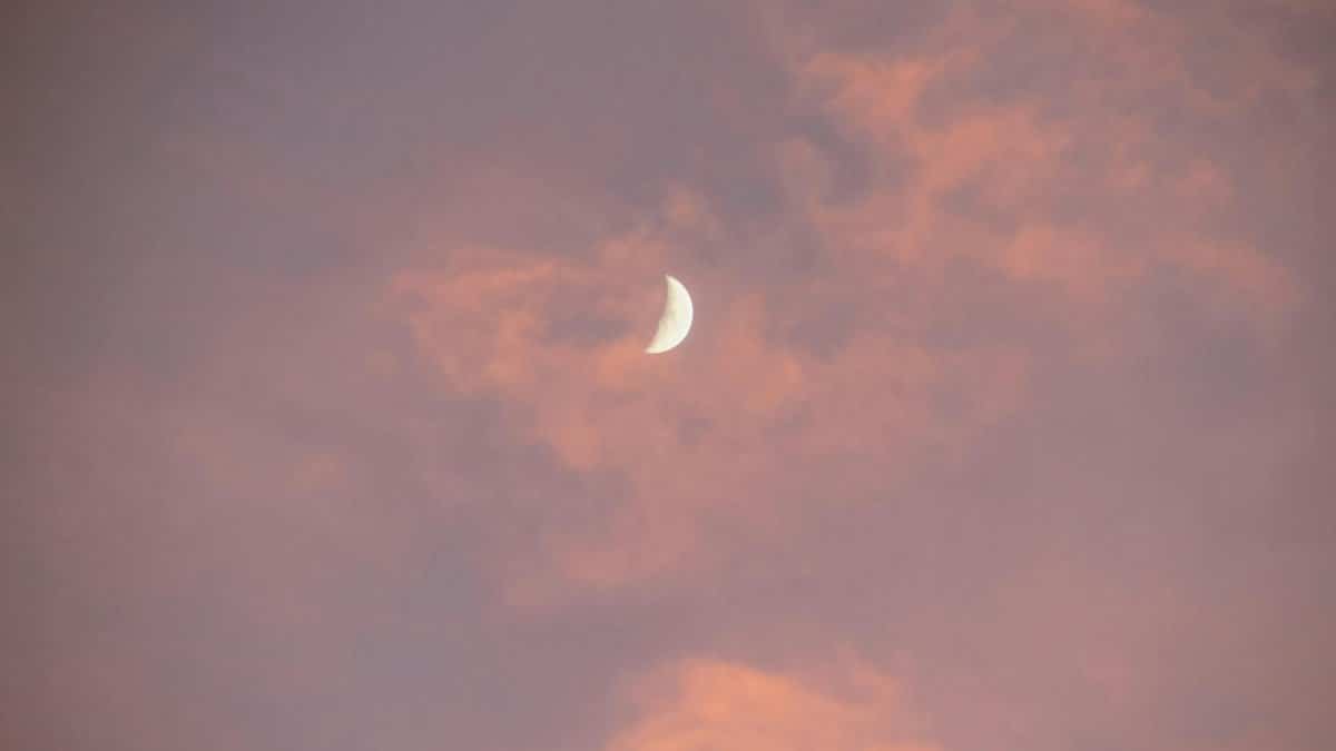 A tranquil scene of a half moon glowing amidst pink clouds at twilight, casting a serene ambiance.