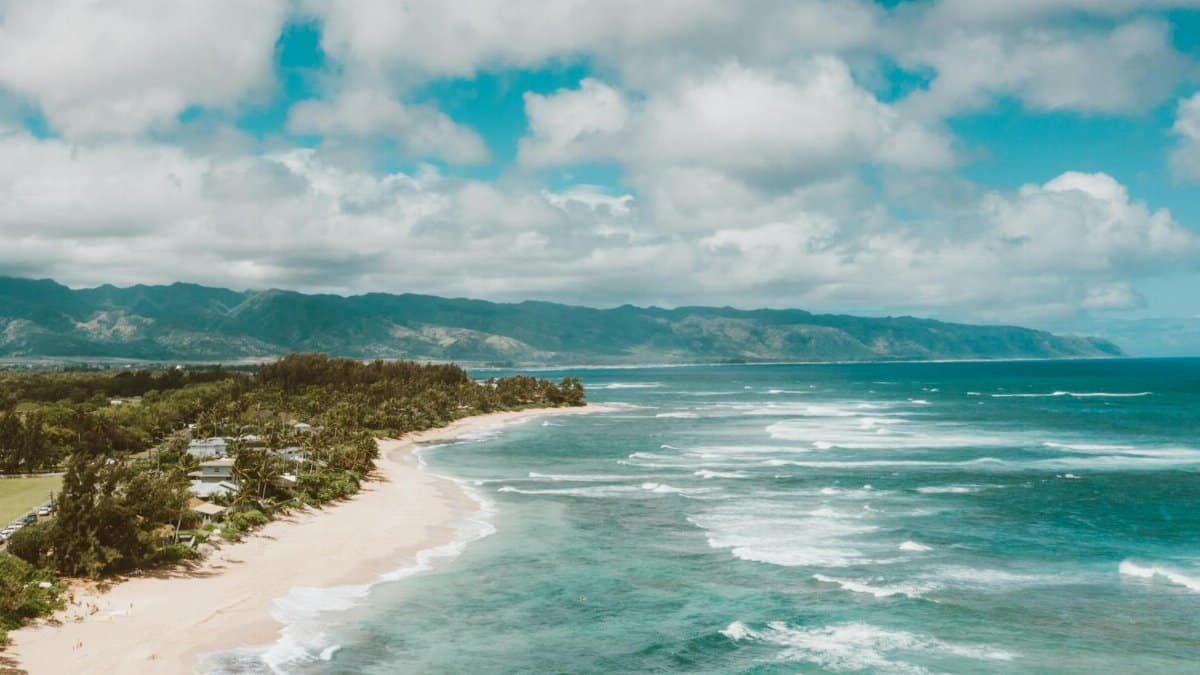 Stunning aerial view of North Shore, Oahu, showcasing its pristine beach and turquoise ocean.