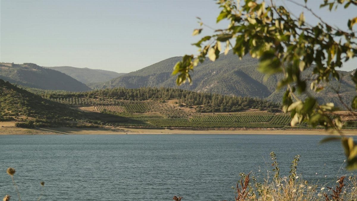 Tranquil scene of a lake with lush hills and orchards, perfect for nature lovers.