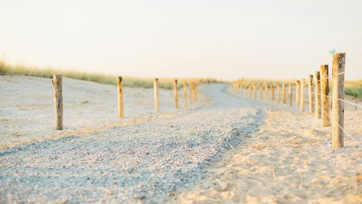 Tranquil gravel path through Dutch sand dunes bordered by a wooden fence at sunrise.