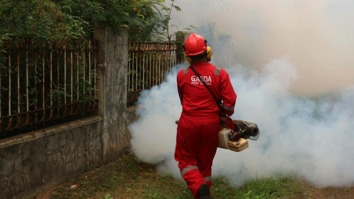 A pest control worker fogging in an outdoor space with smoke to eliminate pests.
