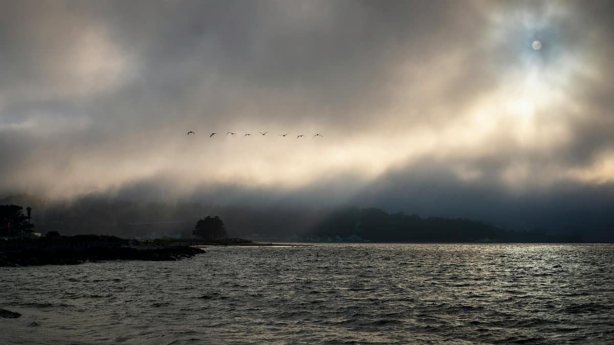 A stunning panorama of the ocean under a dramatic cloudy sky during dusk, with birds flying.