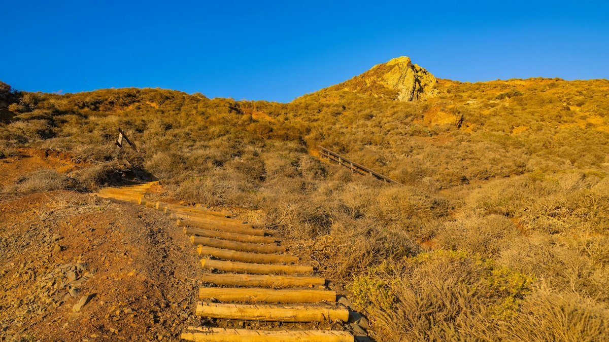Wooden steps lead up a sunlit hill at golden hour, offering a scenic hike.