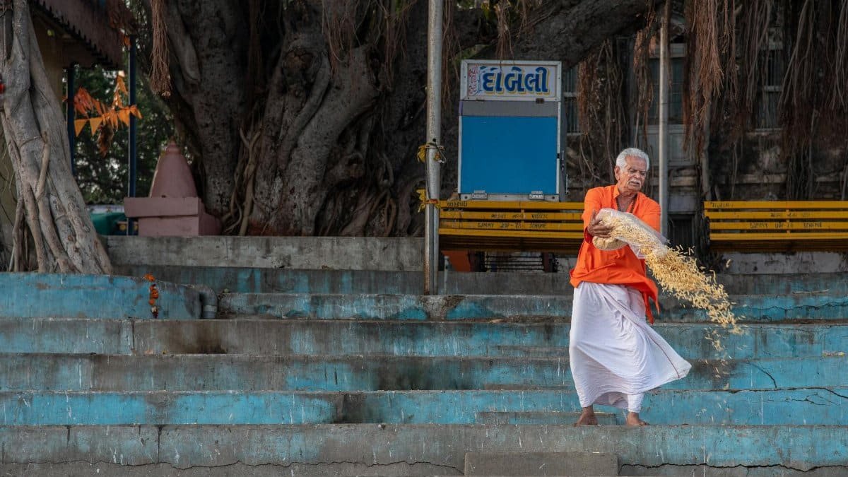A senior man in traditional attire spreads flower petals on steps in Mandvi, India.
