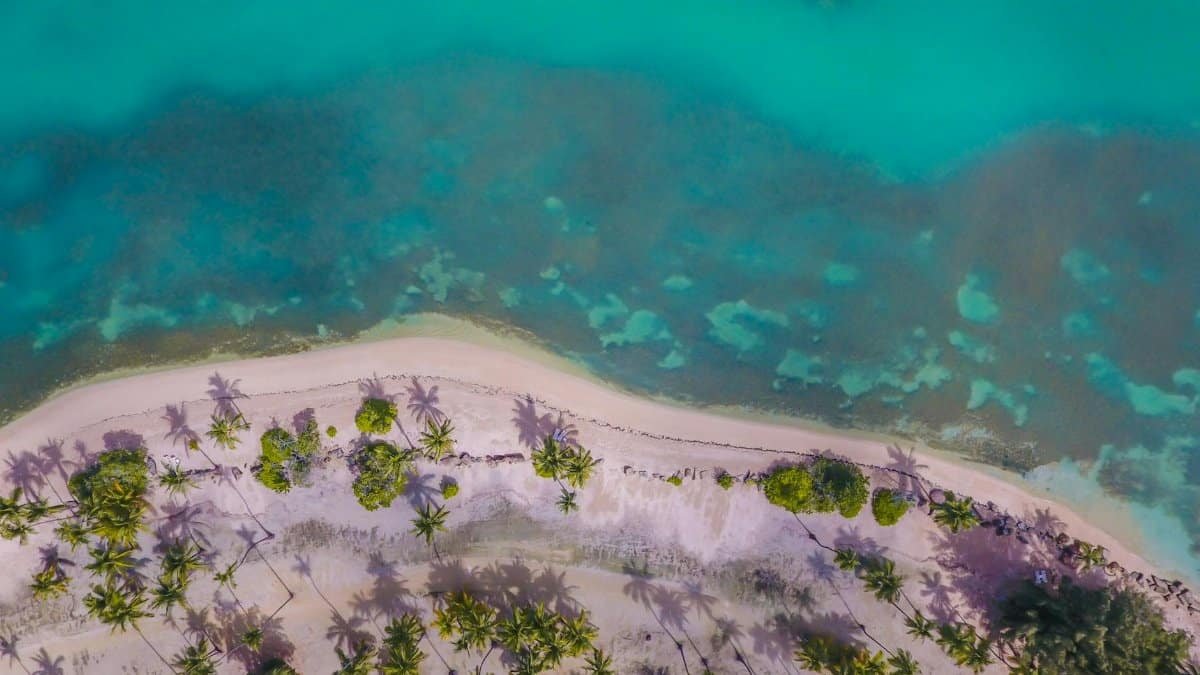 Stunning aerial view of a tropical beach with turquoise waters and palm trees in Puerto Rico.