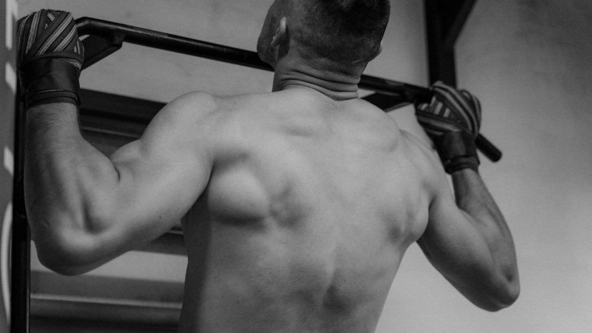 Back view of a shirtless man doing pull-ups, showcasing strength and fitness.
