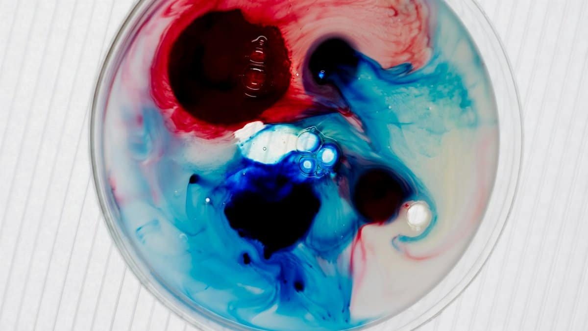 Vibrant abstract art formed by chemical reaction in a petri dish. Ideal for science concepts.