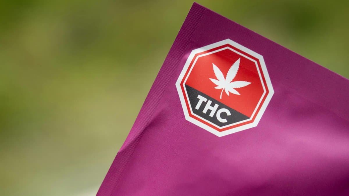 Close-up of cannabis packaging with a THC warning label on a purple background, highlighting safety and regulatory compliance.