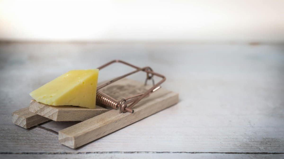 Close-up of a wooden mousetrap with a piece of cheese on a rustic table surface.