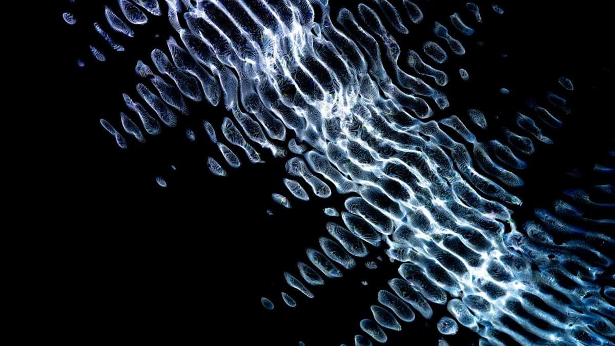 Dynamic abstract digital artwork featuring glowing geometric ripples on a dark background.