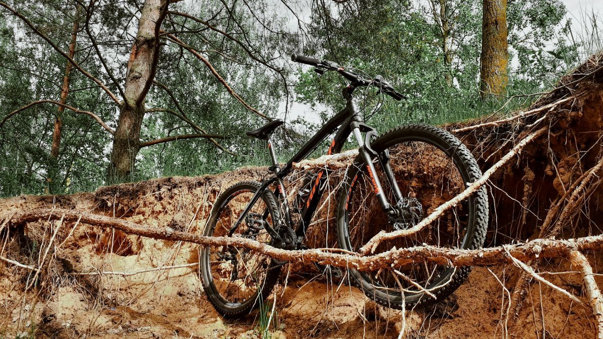 A mountain bike parked on eroded ground amidst tree roots in a forest setting.