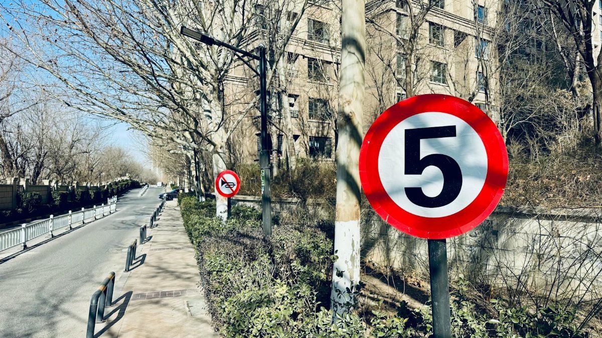 Street scene featuring a speed limit sign of 5 with winter barren trees lining the road.