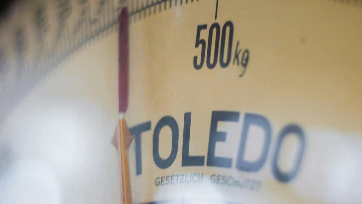 A detailed close-up of a Toledo weighing scale showing 500 kg with clear markings.