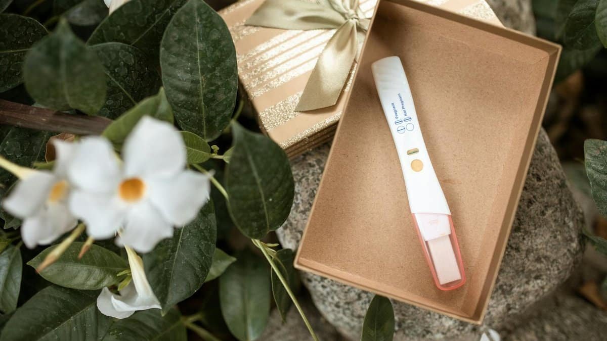 A pregnancy test in a decorative gift box surrounded by white flowers and green leaves.