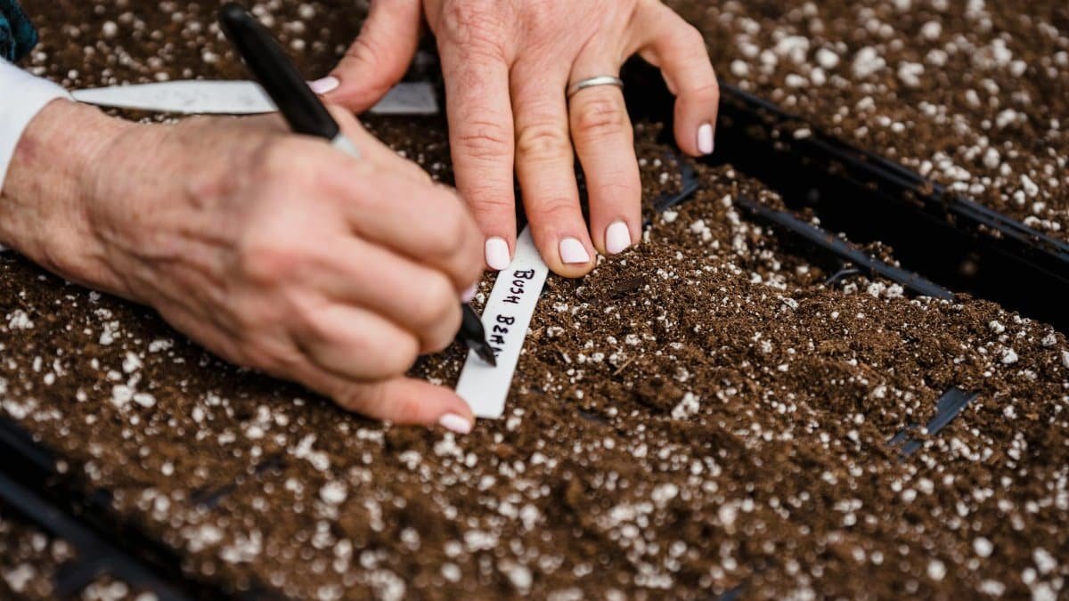 A gardener's hands labeling seed trays, focusing on horticulture and plant cultivation.