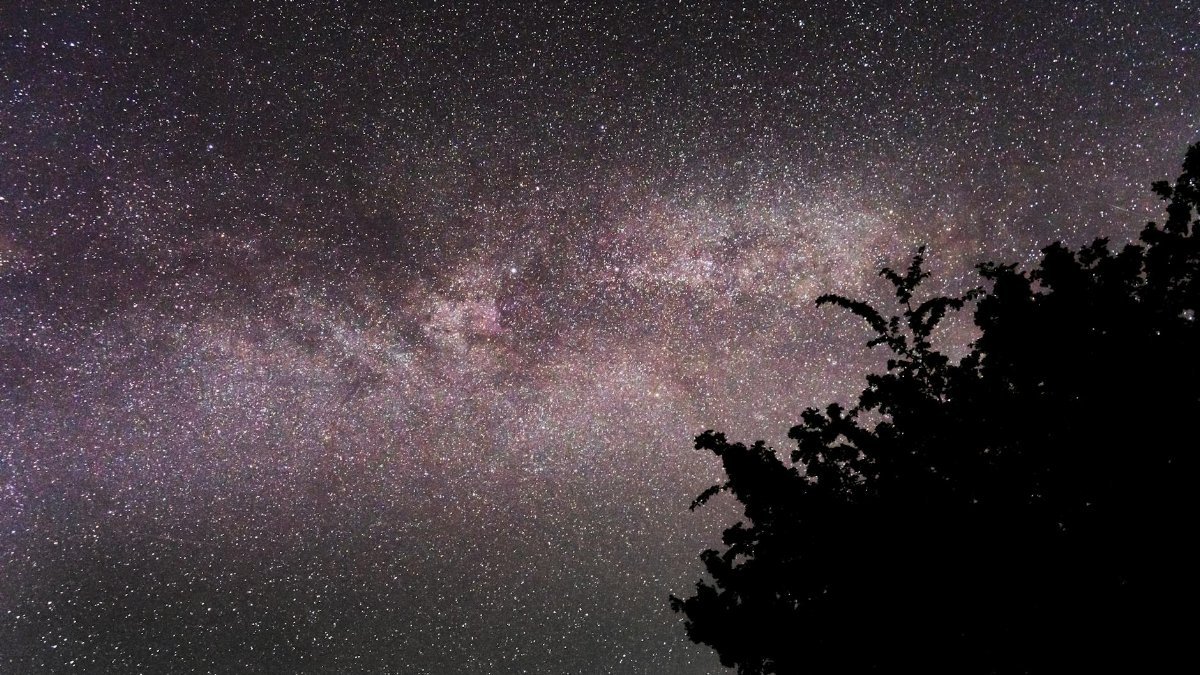 A stunning capture of the Milky Way galaxy filling the night sky above silhouetted trees.