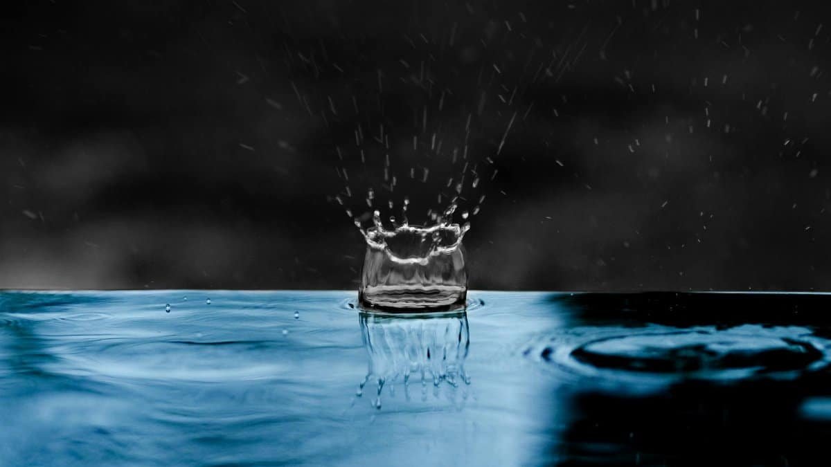 A close-up of a splash as a water droplet hits the surface, creating ripples.