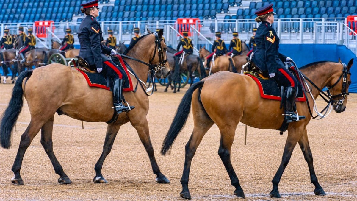 British ceremonial cavalry with riders on horseback at the Horse Guards Parade, London, UK.