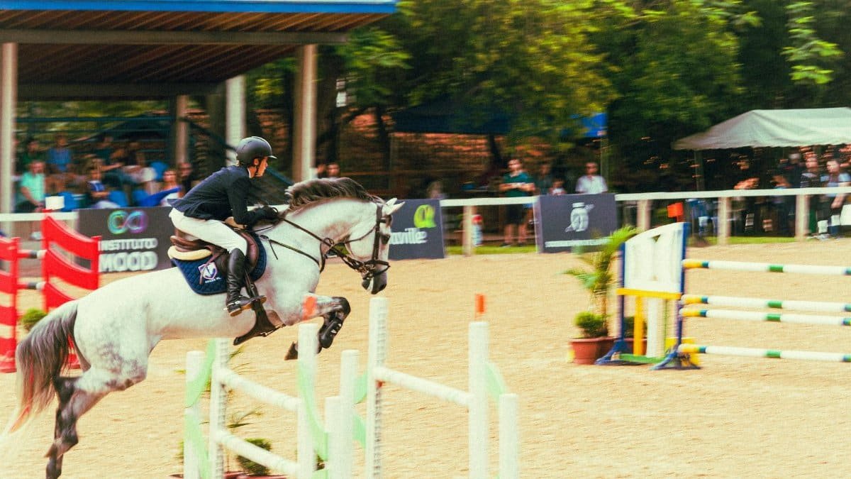 Dynamic equestrian event capturing a rider and horse in a jumping competition.