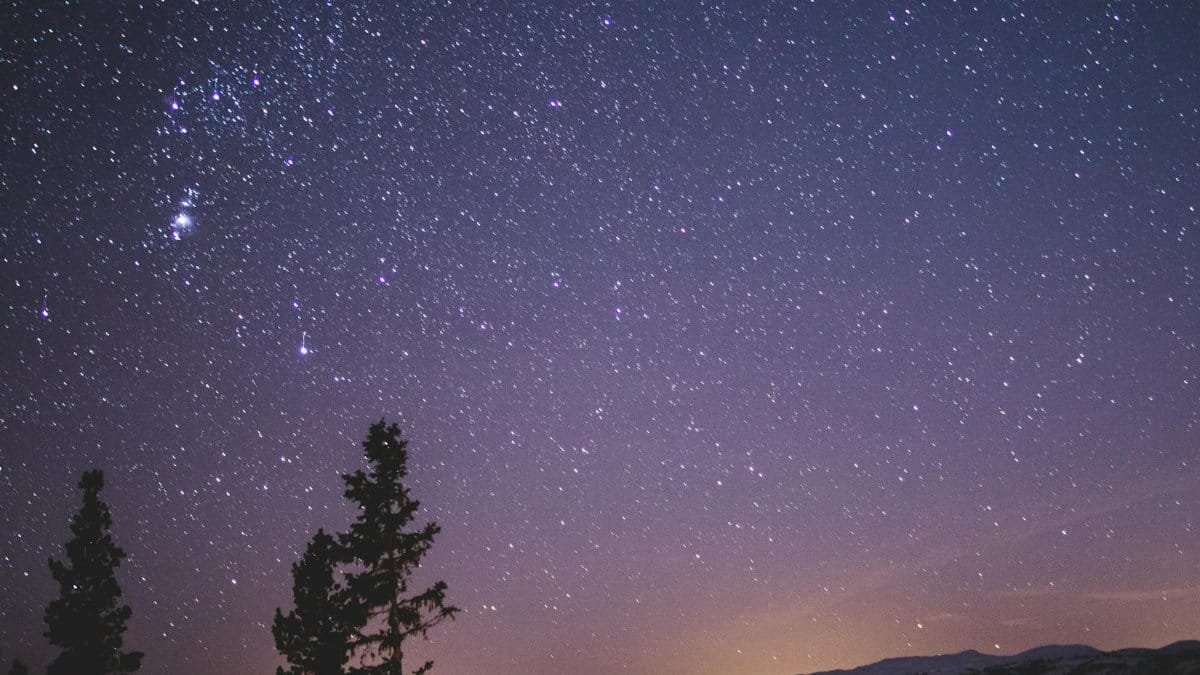 A stunning view of a star-filled night sky with silhouetted trees and distant mountains, perfect for stargazing enthusiasts.