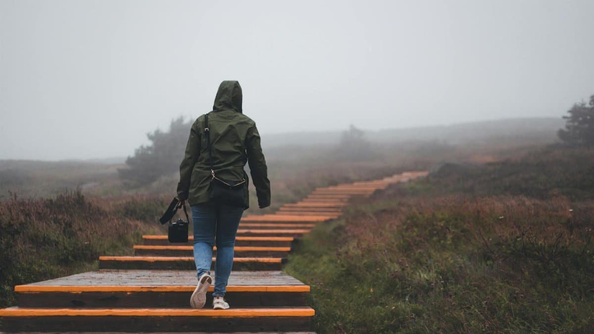 A person in a hooded jacket hikes up wooden steps on a foggy day.