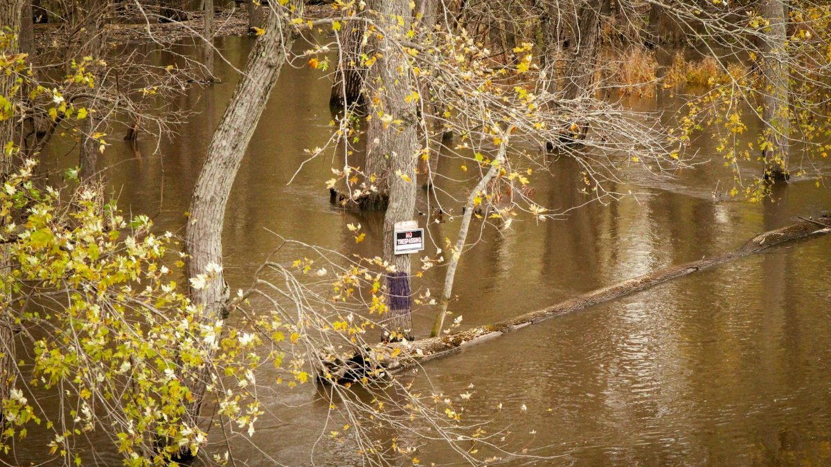 Flooded forest area with visible warning sign and autumn trees in the background.