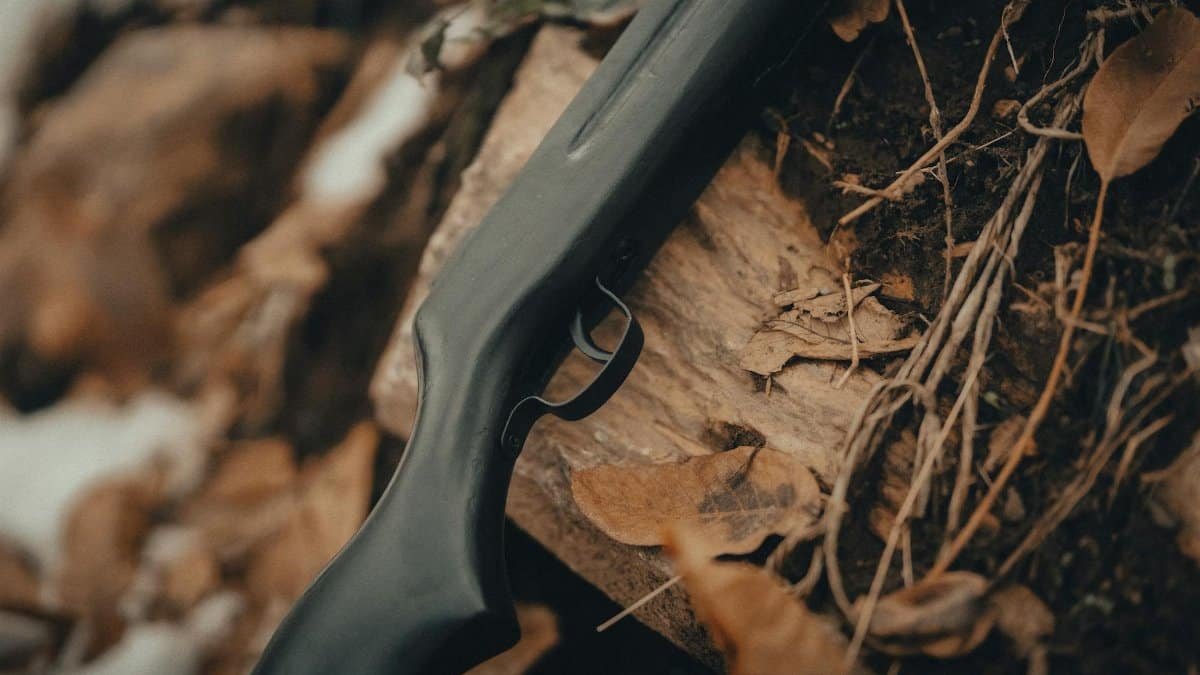 A detailed view of a rifle laying amongst fallen autumn leaves on the forest floor.