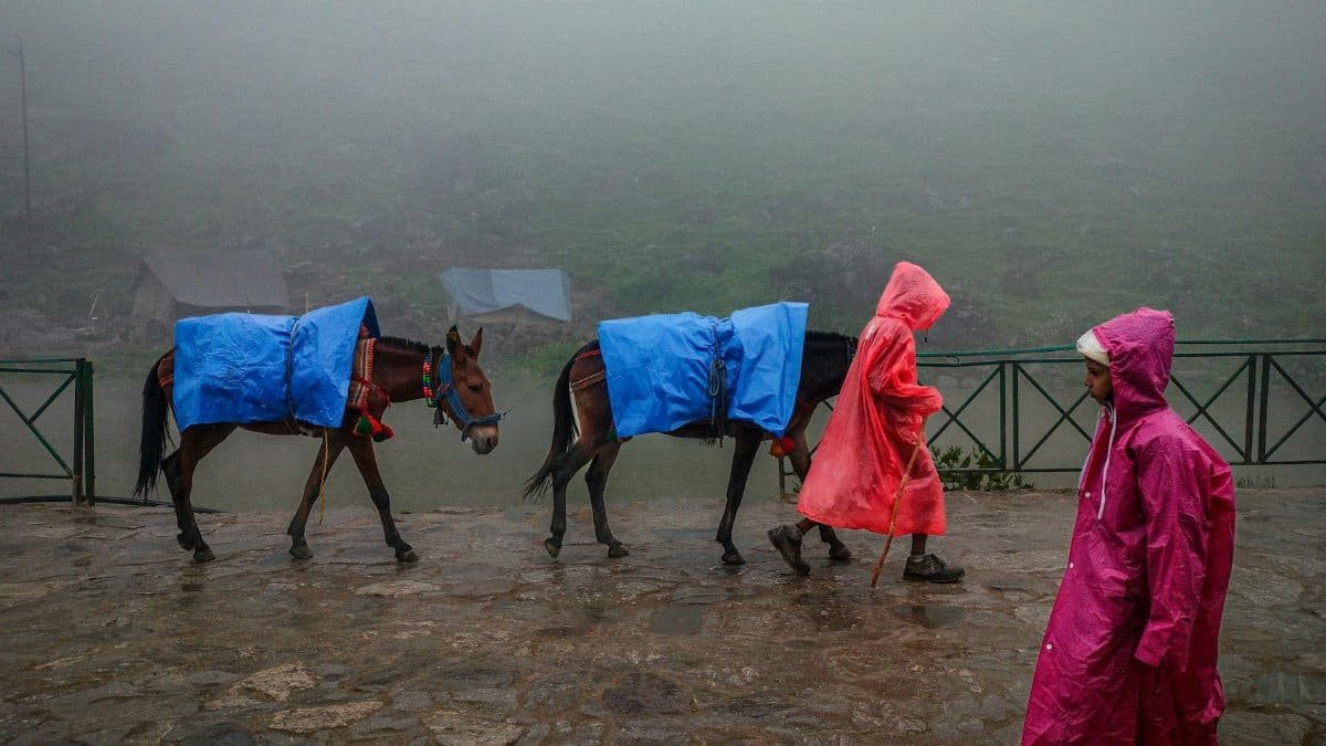 Travelers in raincoats lead donkeys through misty mountain path, evoking adventure.