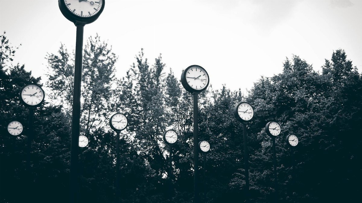 A collection of clocks set against a backdrop of trees in a park, creating a surreal scene.