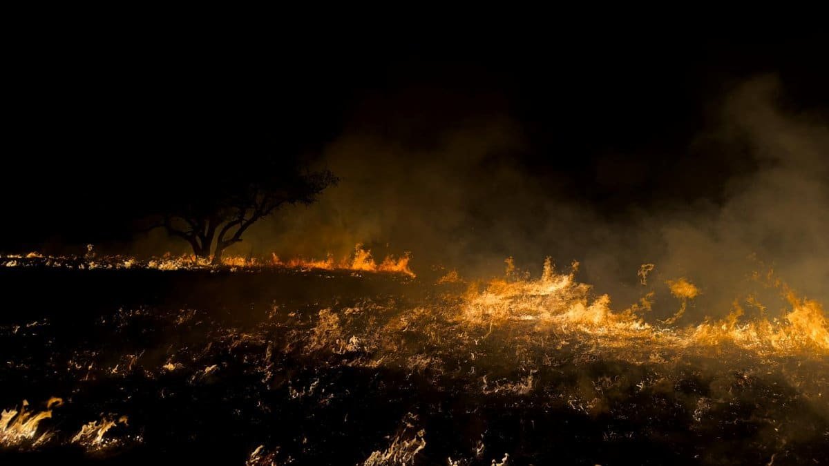 A dramatic field fire captured in Texas, highlighting environmental impact and natural destruction.