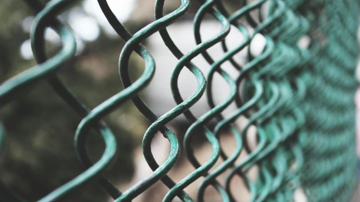 Artistic close-up of a green metallic wire fence, emphasizing pattern and texture.