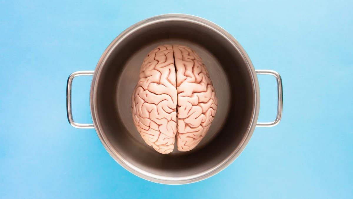 Creative shot of a human brain model in a pot against a blue backdrop, symbolizing mind and thought.